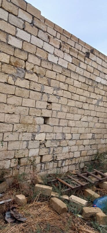 bine atçılıq: Alam hər vaxdiniz xeyir öncədən xahişim varki diqqətlə oxuyun — 7