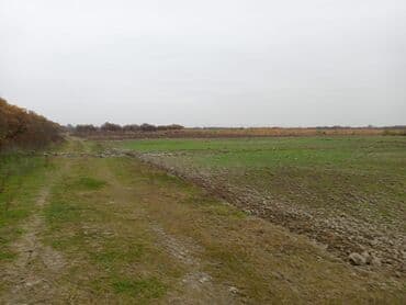 sarayda torpaq satışı: 750 sot, Kənd təsərrüfatı, Kupça (Çıxarış) — 1