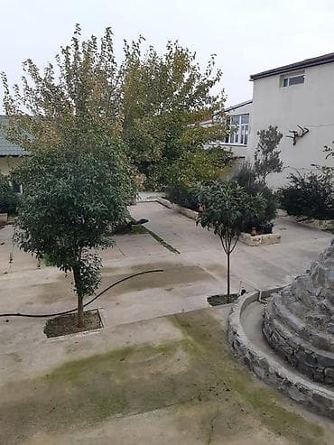ambar icarə: “Karvan Restoran” – restoran obyekti - Fəaliyyət sahəsi: ictimai — 7