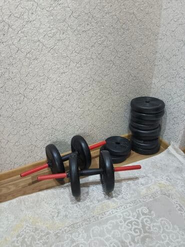 demir halqa ile ariqlamaq: Ştanq diski, Çəki: 40 kq, Yeni — 4