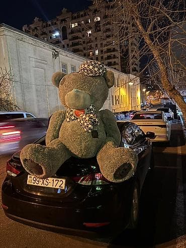 Yumşaq oyuncaqlar: Nəhəng plyuş ayı oyuncağı - Təxminən insan boyunda iri ölçü awagi — 1