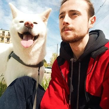 🐾 DOGGIES_X WALKING • BAKU Последние 5 лет собаки — часть моей жизни lalafo.az -da 🐾 DOGGIES_X WALKING • BAKU Последние 5 лет собаки — часть моей жизни
