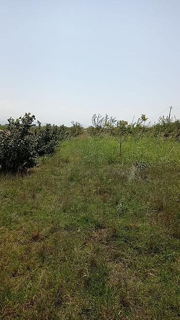 ramanada heyet evleri satilir: 14 sot, Tikinti, Mülkiyyətçi, Kupça (Çıxarış) — 2