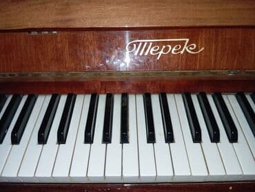 2 ci sinif musiqi dərslik: Piano, Akustik — 2