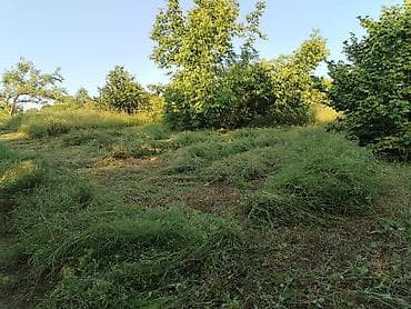 bilgehde torpaq: 7 sot, Tikinti, Maklerlər narahat etməsin, Kupça (Çıxarış) — 10