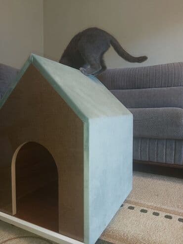 pişik ev: Pişik üçün ev. Akril Laminat 18 lik. Ölçüləri : Hündürlük 70 sm. Eni — 11