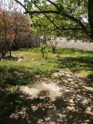 şirvanda satilan torpaqlar: 4 sot, Tikinti — 2