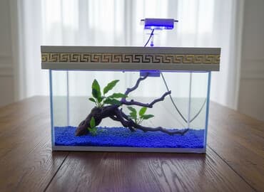 evde tisbaga saxlamaq olarmi: Dördbucaq akvarium, Boş, 6 l, Ünvandan götürmə, Ödənişli çatdırılma — 2