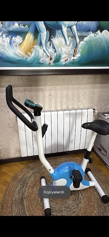velo satış: Velo trenajor ela veziyyetde tam islekdir prablemi yoxdur qiy 150 azn — 1