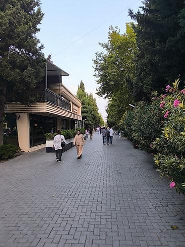 Квартиры: Salam, Kirayyə Təzə Tikili Gənclik Metrosuna + Atatürk Parkına Çox — 2