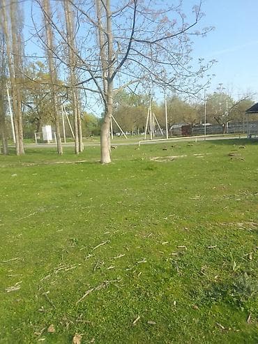 10 sot, Tikinti, Kupça (Çıxarış)