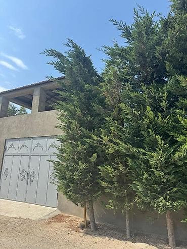 Həyət evləri və villaların satışı: 5 otaqlı, 350 kv. m, Orta təmir — 7