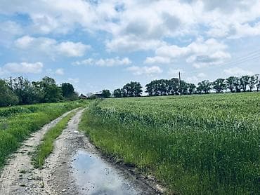 sumqayıt ev alqı satqısı 2018: Для сельского хозяйства, Купчая — 2