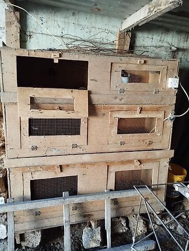 qefes xamyak: Taxta çoxmertebəli qəfəs komplekti - Material: qalın faner/taxta — 1