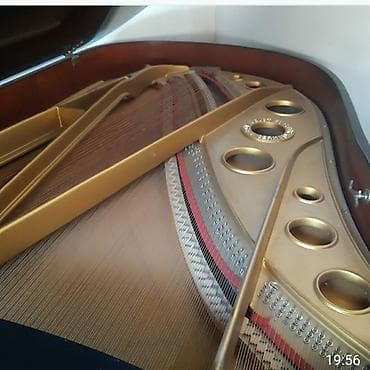 Röyal Agust-Fhoster satilir — 5