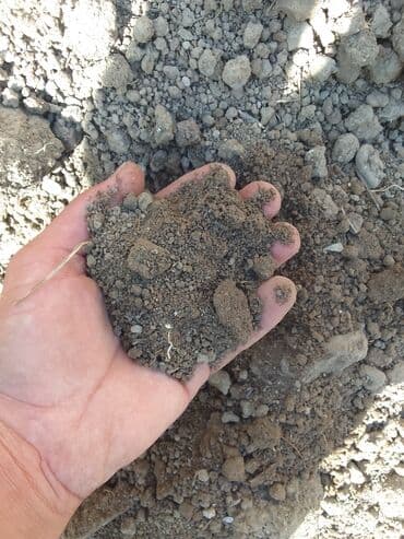 ищу работу садовник на дачу: Bağban xidməti qazon biçmək ağacların biçilməsi budanması — 11