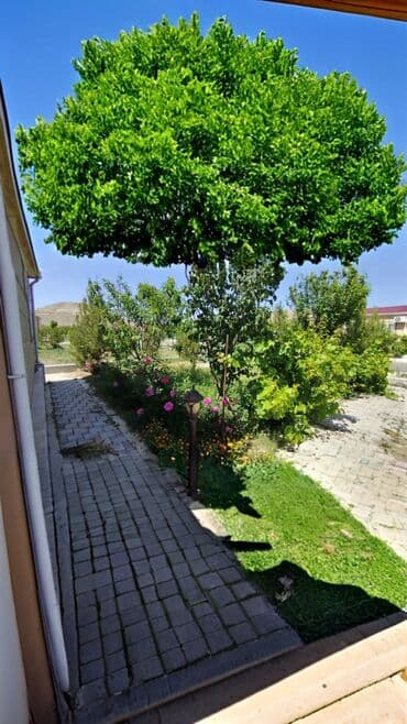 xətai rayonu kirayə evlər: 2 otaqlı, 38 kv. m, Kredit yoxdur, Yeni təmirli — 16