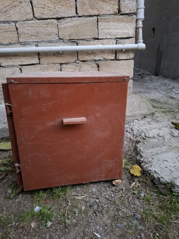 Pişiklər: Inqbator — 4