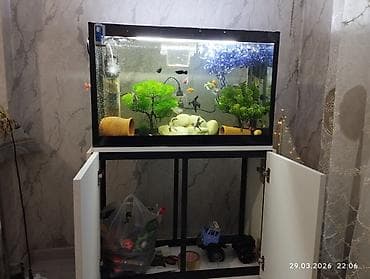 akvarium yumru: Akvaryum dəsti – şkaflı və tam işlək sistem salam her vaxtınız xeyir — 1