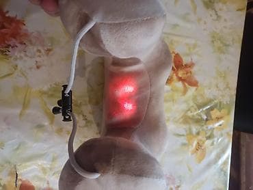 ucuz netbook: Masajor, Vibro masajor, Bədən üçün, Yeni, Ünvandan götürmə — 4