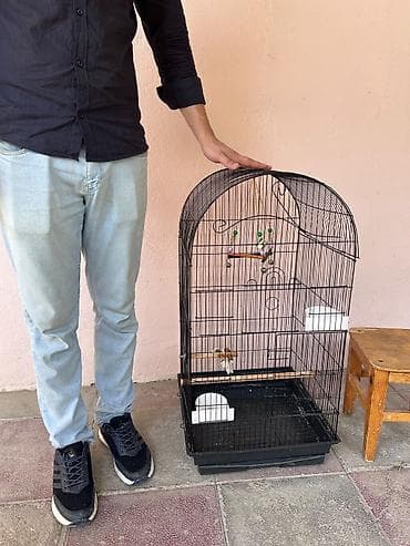 quşlar: Böyük ölçülü quş qəfəsi - Material: dayanıqlı metal tor və plastik — 5
