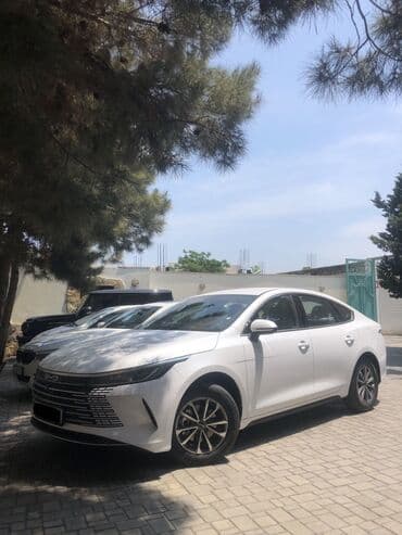 byd ilkin ödənişsiz: BYD : 1.5 l | 2024 il Sedan — 2
