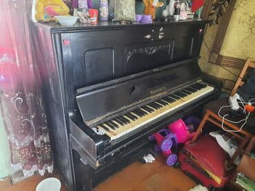 protein tozu qiymeti: Işlək vəziyətdədir istifadə olunmur onunçün satılır ciddi alıcılar — 2