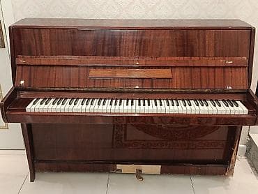 roland va 76: Piano, Akustik — 3