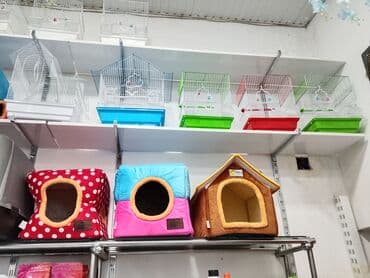 домик для кошек: Zoo mallar — 6