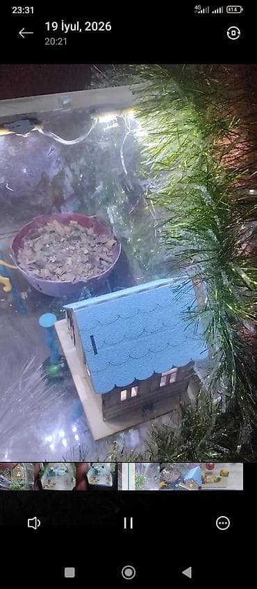 akvarium lampa: Məhsul: Dekorativ işıqlı akvarium/teraryum vitrin-kabinəsi Təsvir: - — 3