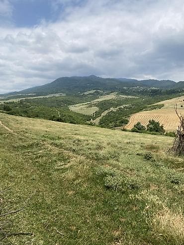 bulbulə torpaq: 15 sot, Tikinti — 9
