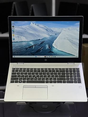 HP ProBook, 15.6 ", Intel Core i5, 256 GB