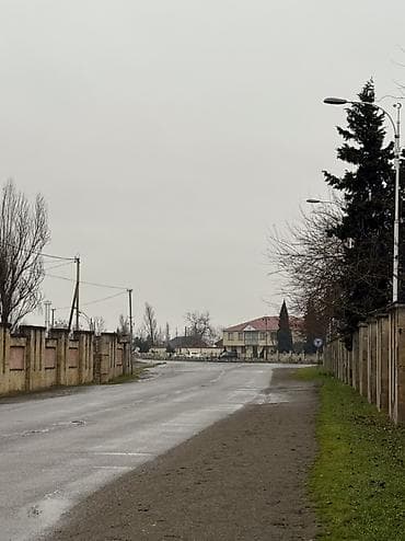 49 sot, Tikinti, Kupça (Çıxarış)