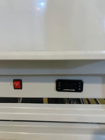 şkaf soyuducular: Sənaye tipli şkaf tipli soyuducu/kamera - Dikey tip, tək qapılı — 8