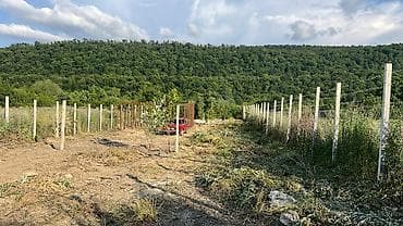 torpaq satış: 13 sot, Biznes üçün, Makler, Kupça (Çıxarış) — 3