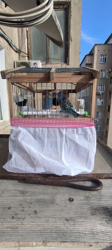 hazır yuva: Yem Qabi,Su Qabi Mel,Komur,Duz Vitaminli Yem. Yuva,Tul Parcasida — 3