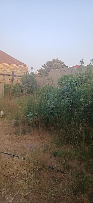 Mənzillər: 4 sot, Tikinti, Maklerlər narahat etməsin, Kupça (Çıxarış), Texniki pasport — 2