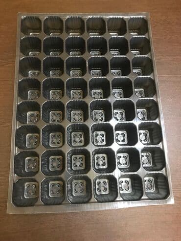 göbələk toxumu satışı: Şitil ücun qablarr qarpiz toxumlari uçun vathcapa yazn rayonlara — 2