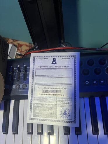 Saz: Sintezator, Korg, Yeni — 3