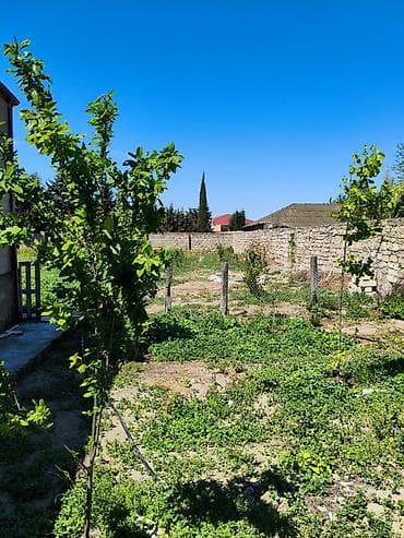 30 mine evler: 9 sot, Tikinti, Maklerlər narahat etməsin, Kupça (Çıxarış) — 3
