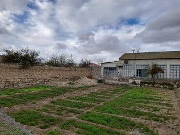 ferma torpaq: 6 sot, Makler, Bələdiyyə — 3