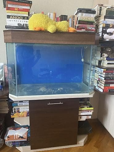 gence akvarium: Boş, 250 l, Ünvandan götürmə — 1