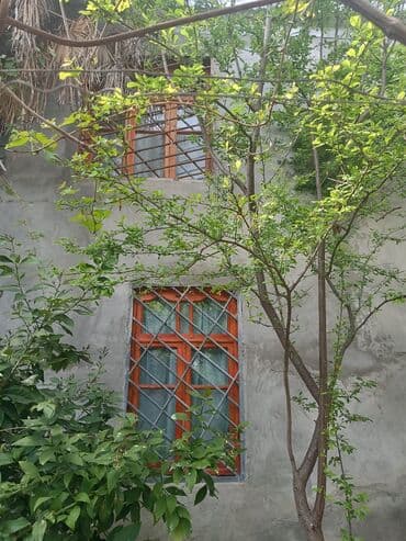 meyve tərəvəz: RT Arxasında körpüdən sağda 2 ci küçədə 2 mərtəbəli 8 otaqlı həyət evi — 27