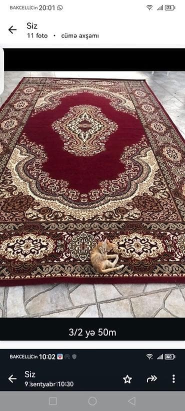 ковры 2 на 3: Qırmızı rəngli klassik naxışlı xalça - Ölçü: 3 x 2 m (ümumi sahə — 1