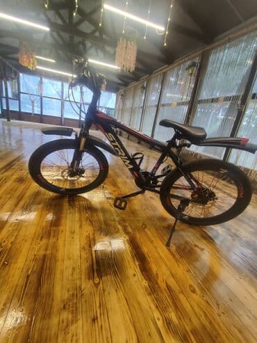 trinx x1 pro 2020: Dağ velosipedi Strim, 24" — 1