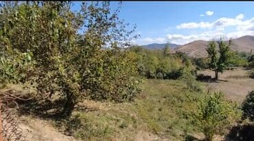 ayda torpaq satışı: 40 sot, Kənd təsərrüfatı, Mülkiyyətçi, Kupça (Çıxarış) — 3