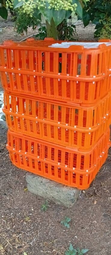 it satışı: Təcili satılır.6 ədədi 240manat — 8