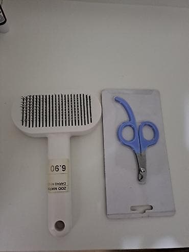 Gəmiricilər: Britan, Erkək, Yaxşı əllərə, Ünvandan götürmə — 7