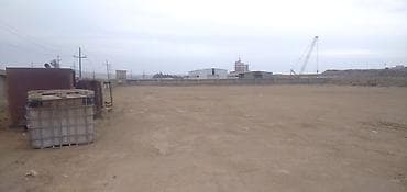 bulbulede torpaq: 85 sot, Biznes üçün, Maklerlər narahat etməsin, Kupça (Çıxarış) — 7