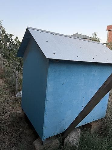 İt evi – taxta konstruksiyalı, ikitərəfli maili damlı - Material — 4
